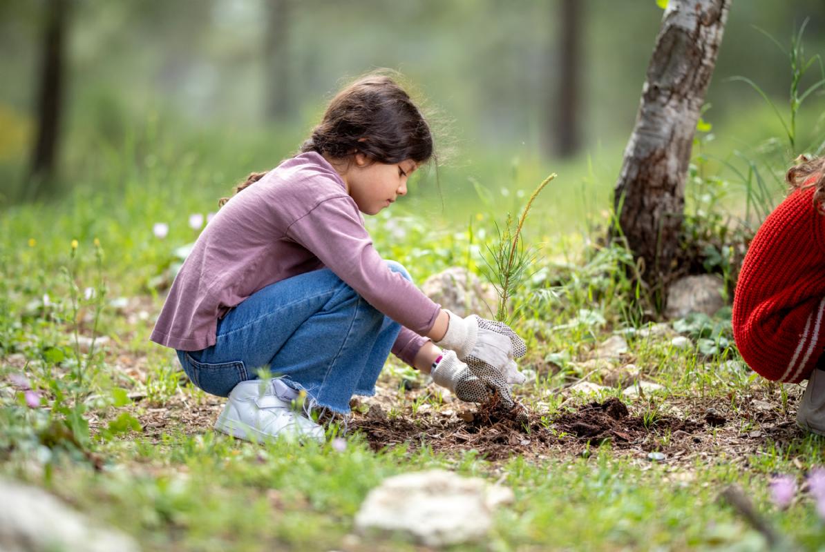 Annual Tu Bi’Shevat School Campaign 2026/5786 | Campaigns