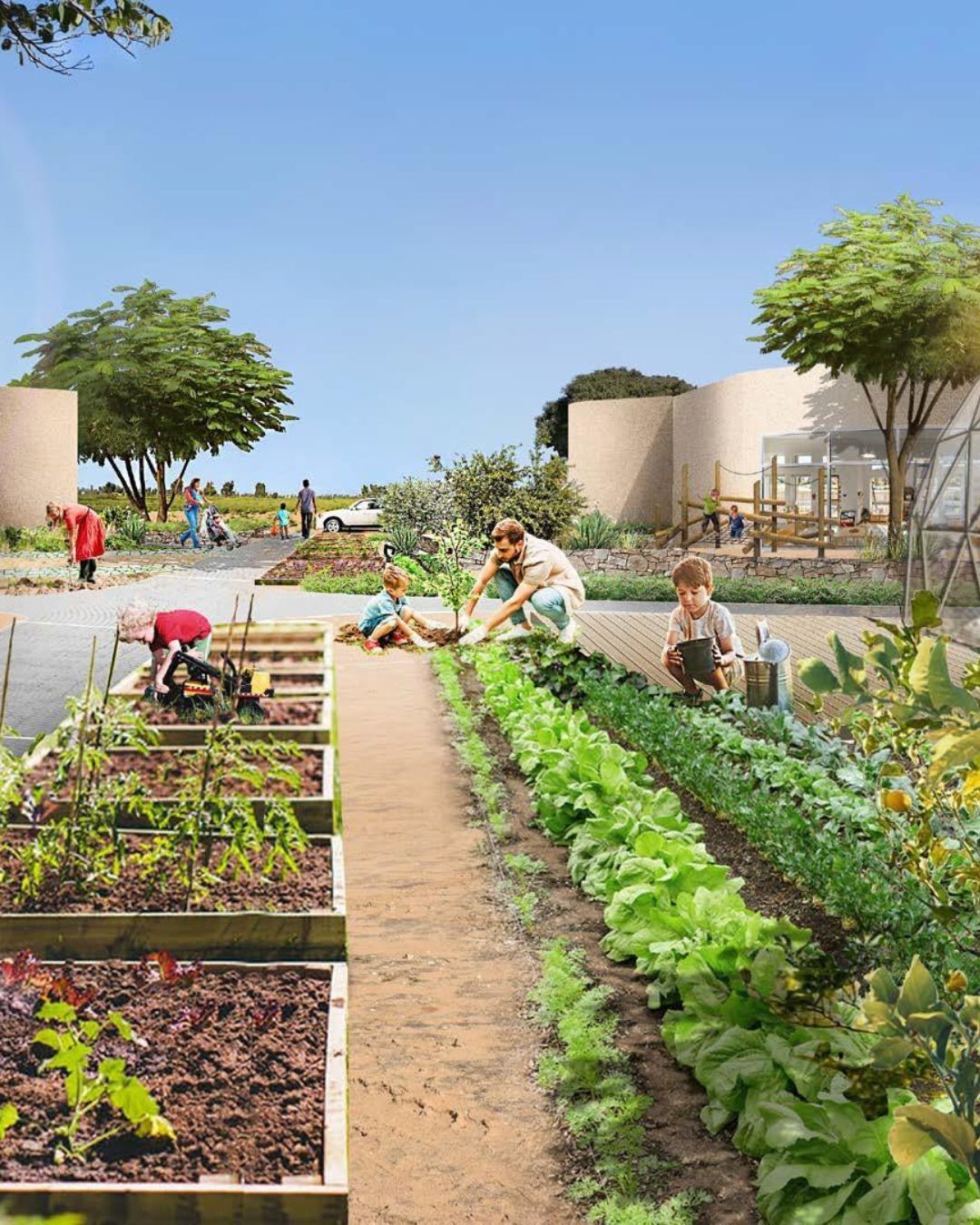 Annual Tu Bi'Shevat Campaign 2026/5786